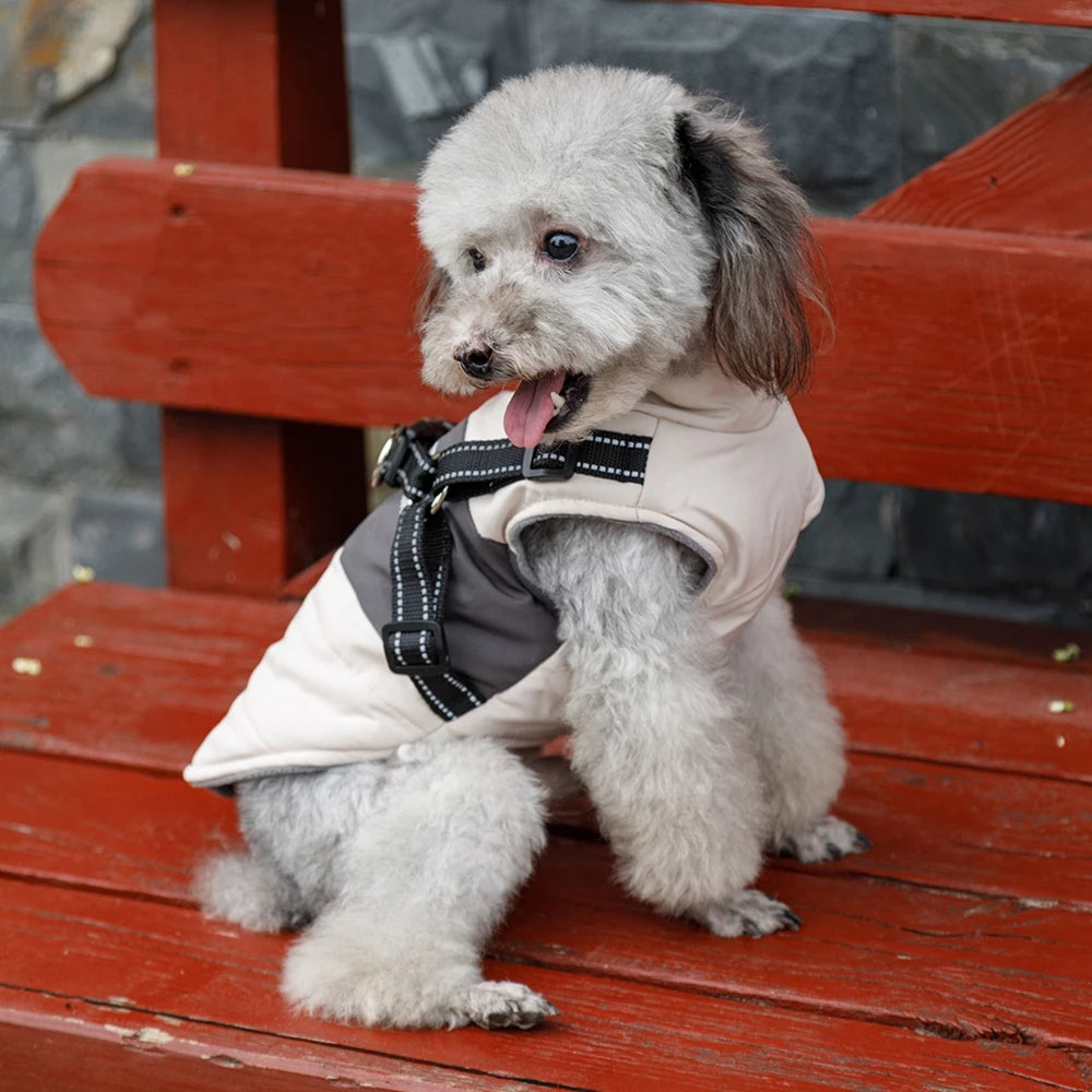Premium Warm Windproof Dog Jacket With Dual D Rings by PawHaven