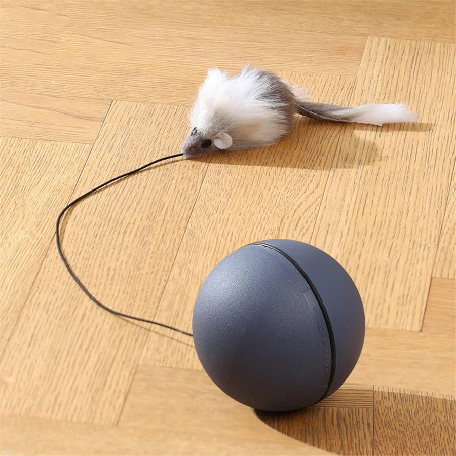 "Battery-Operated" Interactive Cat Toy Ball With Tracking Mouse - Automatic Rolling Teaser For All Breeds, Battery-Powered (Batt by PawHaven