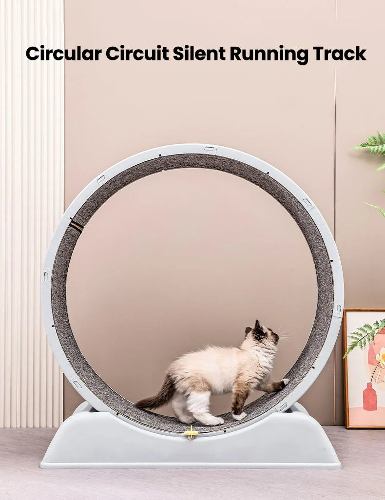 Cat Running Exercise Wheel Treadmill, Ultra-Quiet Safety Cat Training Toy with and Locking Mechanism,Removable Carpeted Runway by PawHaven