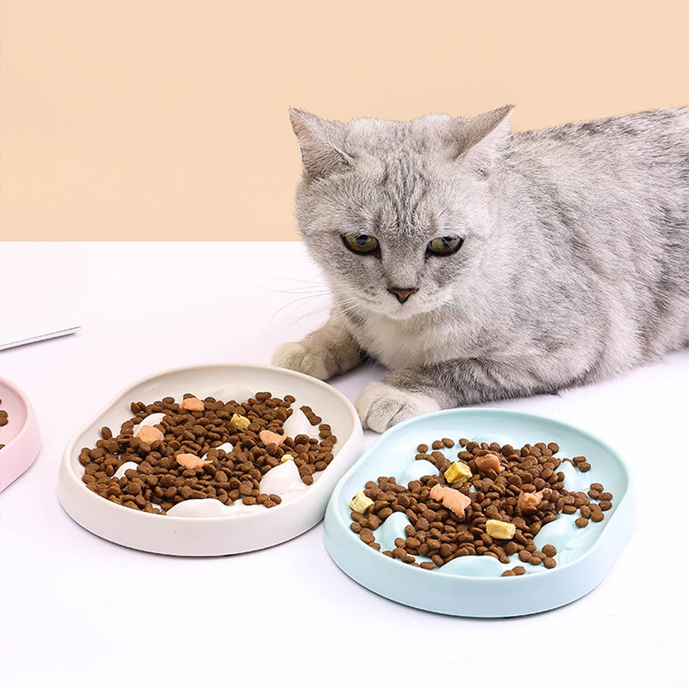Dog Cat Bowl Anti Choking Slow Food Pet Bowl Bowl Pet Feeder Supplies by PawHaven