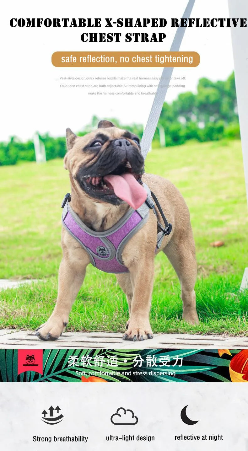 Premium Reflective Harness Vest For Small To Medium Dogs by PawHaven