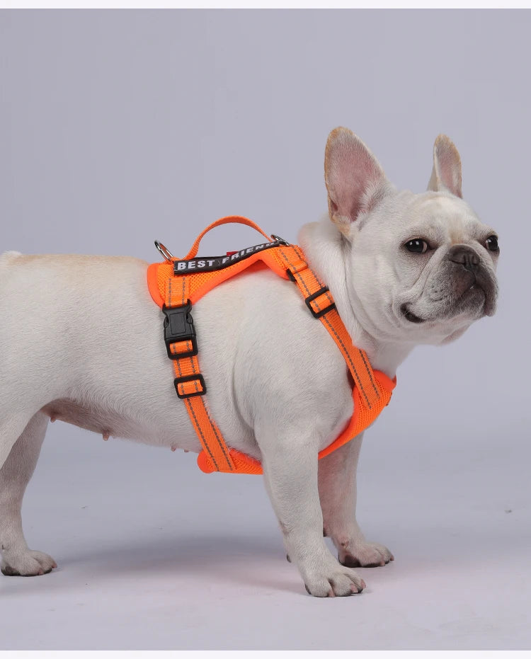 Premium Reflective Vest Harness And Leash Set by PawHaven
