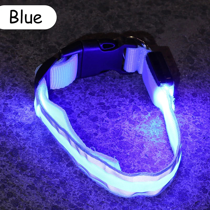 Premium Nylon Night Safety Glow Dog Collar by PawHaven