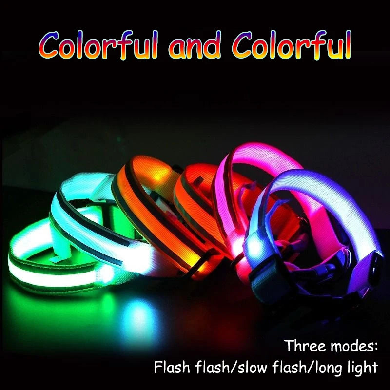 Premium Nylon Night Safety Glow Dog Collar by PawHaven