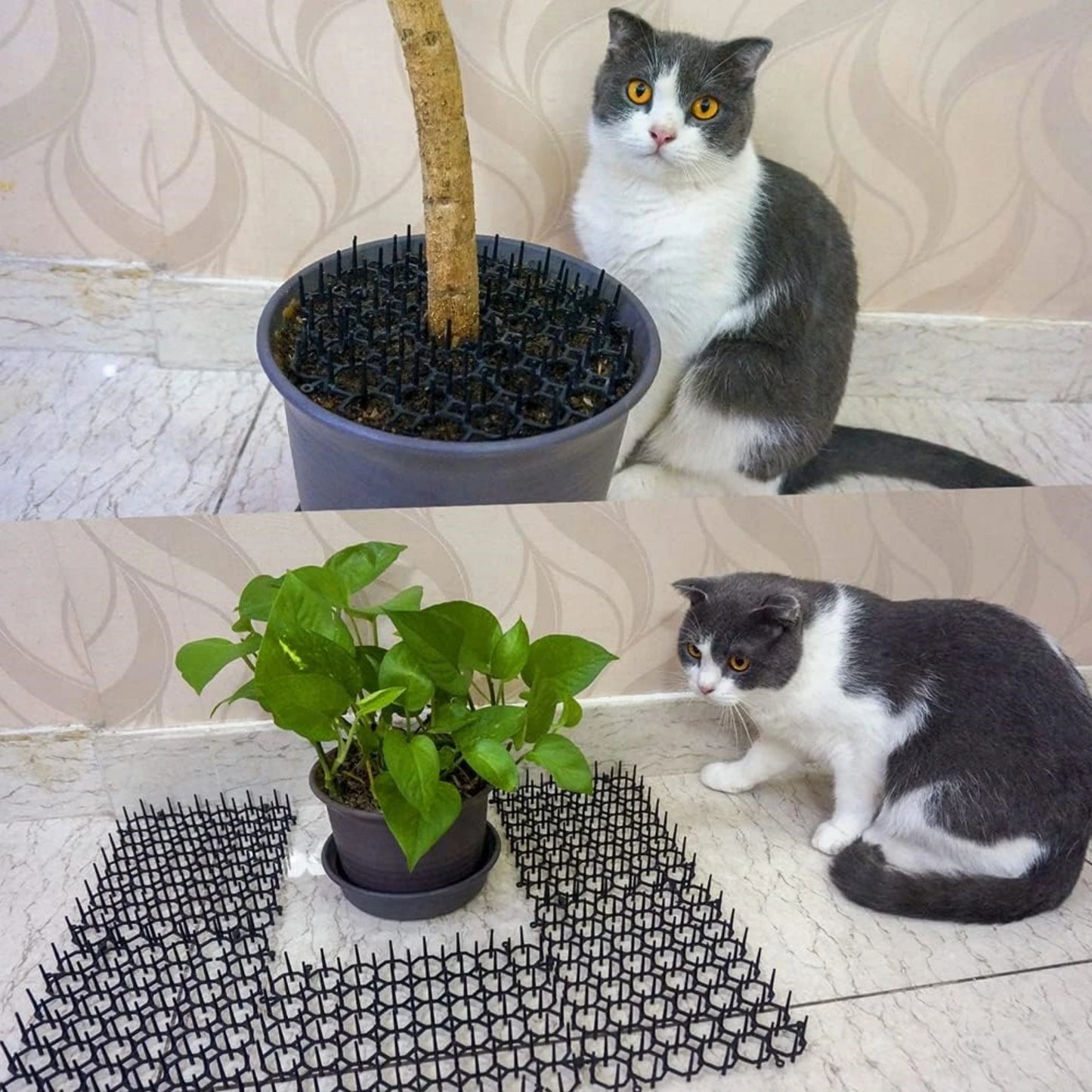Cat-Proof Mat with Spikes for Vegetable Garden Durable Protection against Cats And Dogs Ideal for Gardening And Plant Care by PawHaven