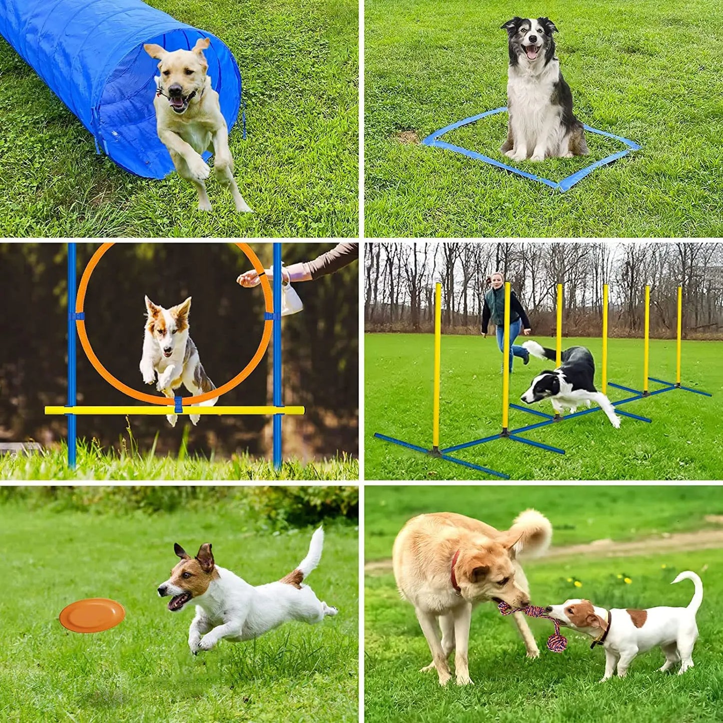 Pet Agility Training Set Jumping Bar Dog Obstacle Training Equipment Hurdle Training Dog Training Device Pet Supplies by PawHaven