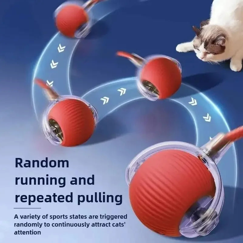 New Cat Interactive Ball Toy,Automatic Rolling Cat Ball Rechargeable,Smart Kitten Interactive Toy,Intelligent Balls Toy for Cat by PawHaven