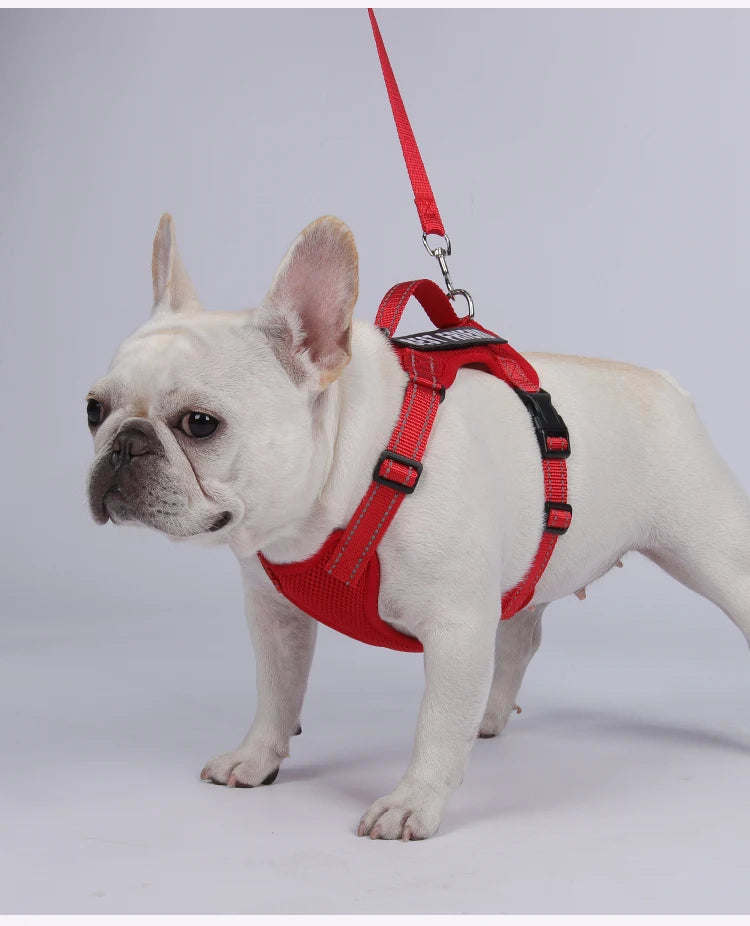 Premium Reflective Vest Harness And Leash Set by PawHaven