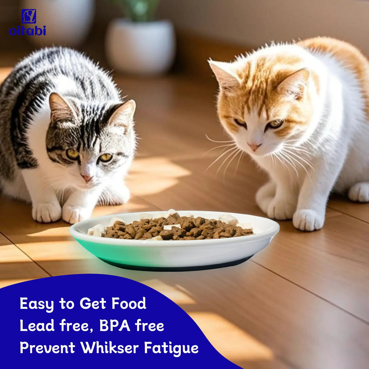Oitabi 3PCS Cat Food Bowl, Ceramic Cat Bowls, Anti Whisker Fatigue Cats Bowl Set, Shallow Wide Kitten Plates for Food and Water by PawHaven