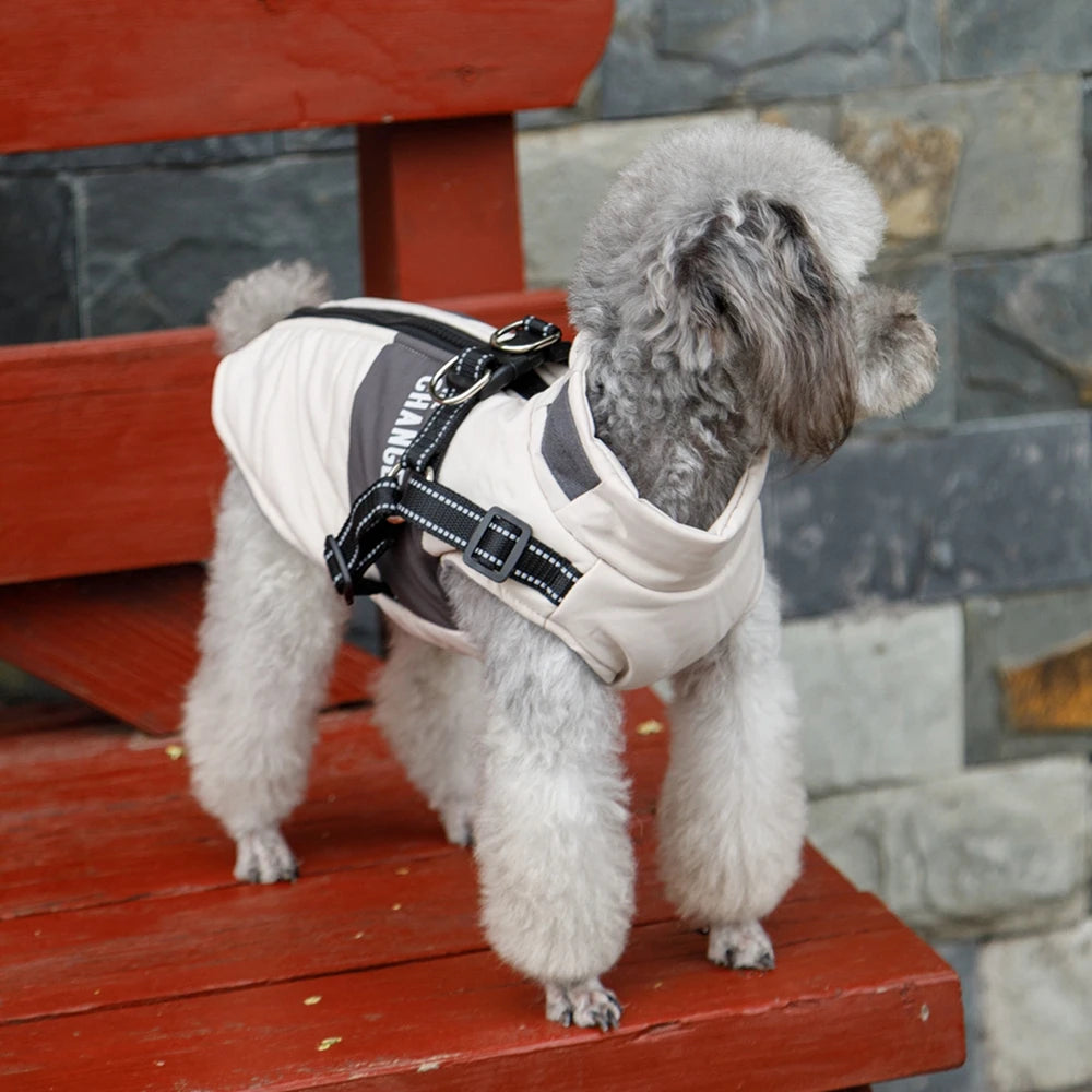 Premium Warm Windproof Dog Jacket With Dual D Rings by PawHaven