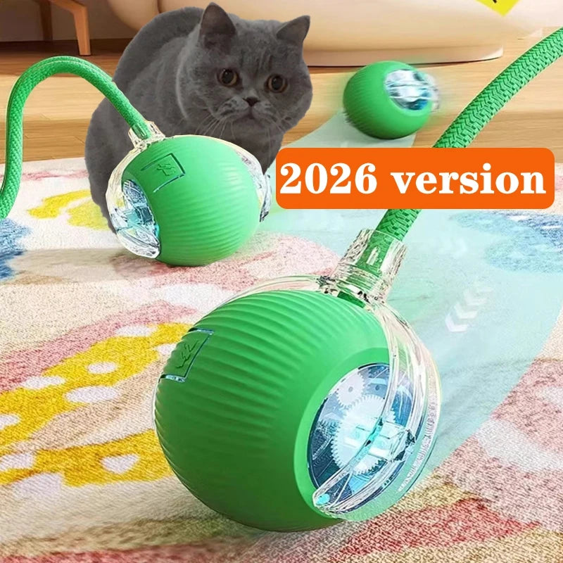 New Cat Interactive Ball Toy,Automatic Rolling Cat Ball Rechargeable,Smart Kitten Interactive Toy,Intelligent Balls Toy for Cat by PawHaven