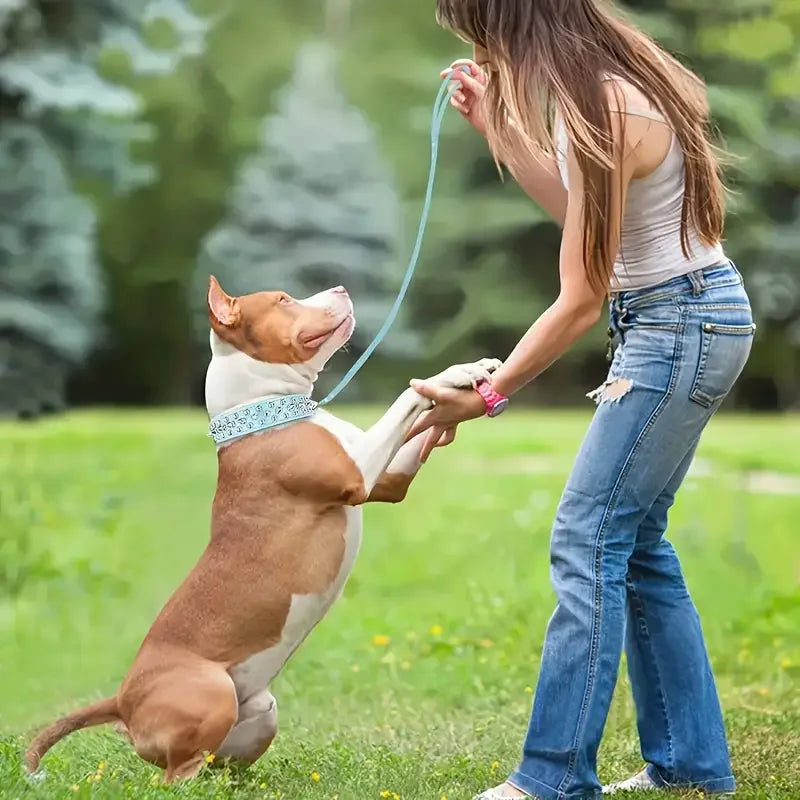 Spiked Dog Collar And Leash Set, Rivet Leather Dog Collar Adjustable Dog Collar For Outdoor Walking by PawHaven