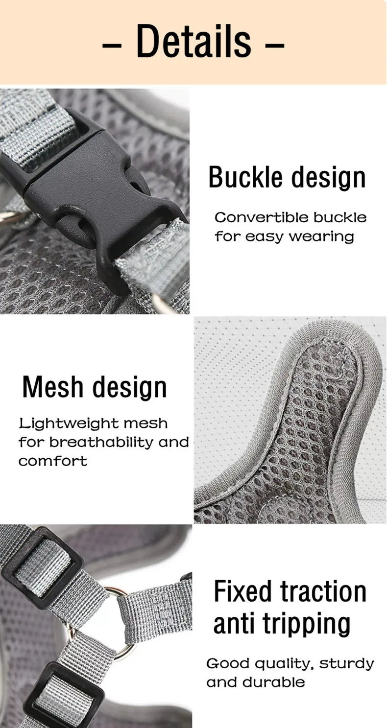 Premium Reflective Harness Vest For Small To Medium Dogs by PawHaven
