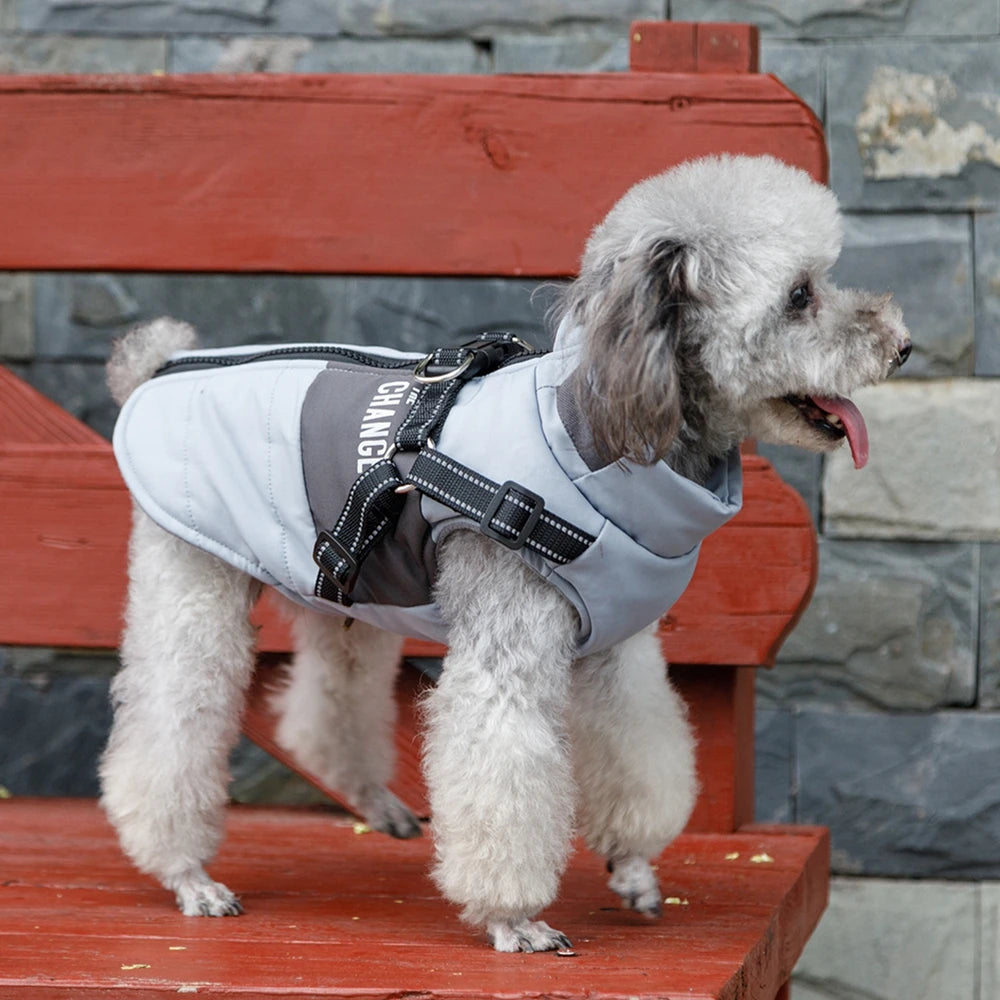 Premium Warm Windproof Dog Jacket With Dual D Rings by PawHaven