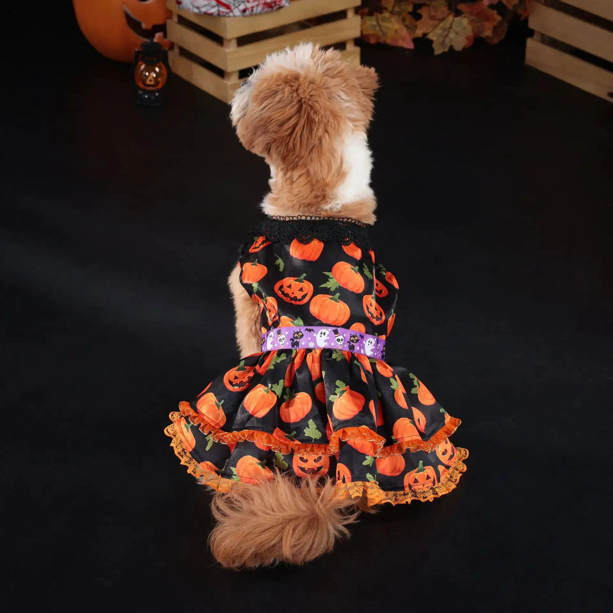 Halloween Dog Dress for Small Medium Large Dogs Pumpkin Pet Costume Party Outfit by PawHaven