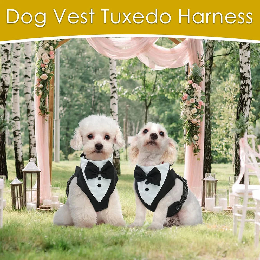 Dog Tuxedo for Wedding Outfit, Dog Suit and Tie Costumes for Birthday, Cosplay, Christmas Party, Pet Formal Wear with Bowtie by PawHaven