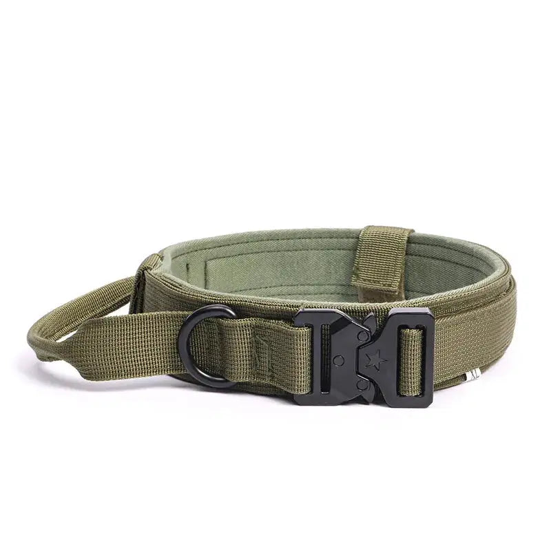 Pet Products Outdoor Dog Buckle Collar Traction Rope Adjustable Pets Collars by PawHaven