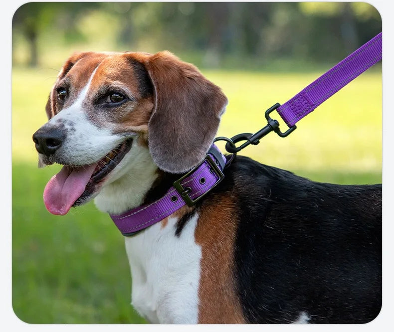 Premium Padded Reflective Dog Collar Adjustable Nylon by PawHaven