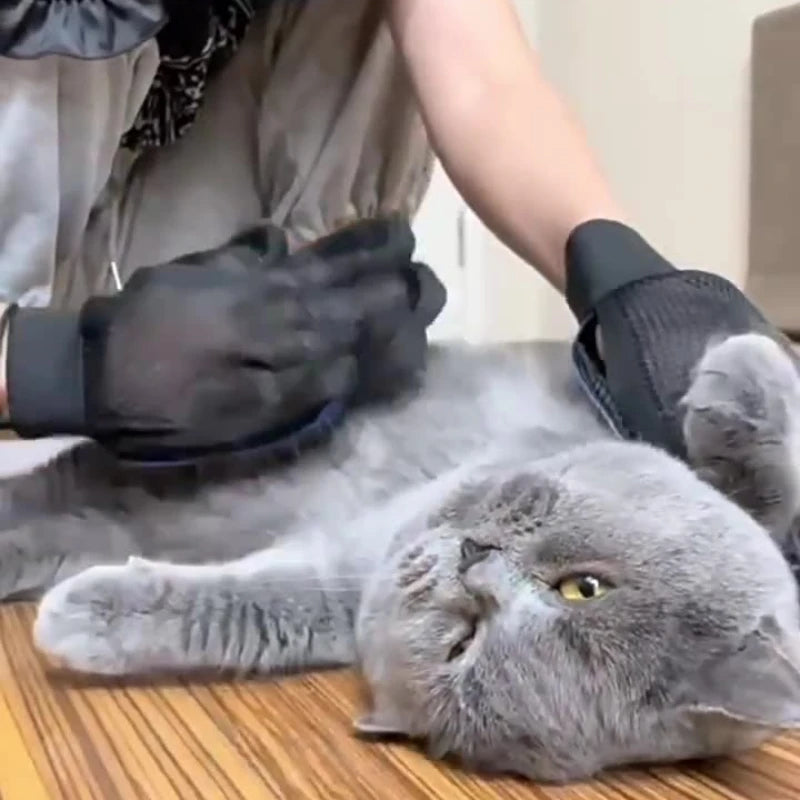 Silicone Pet Grooming Gloves For Cats And Dogs Hair Removal by PawHaven