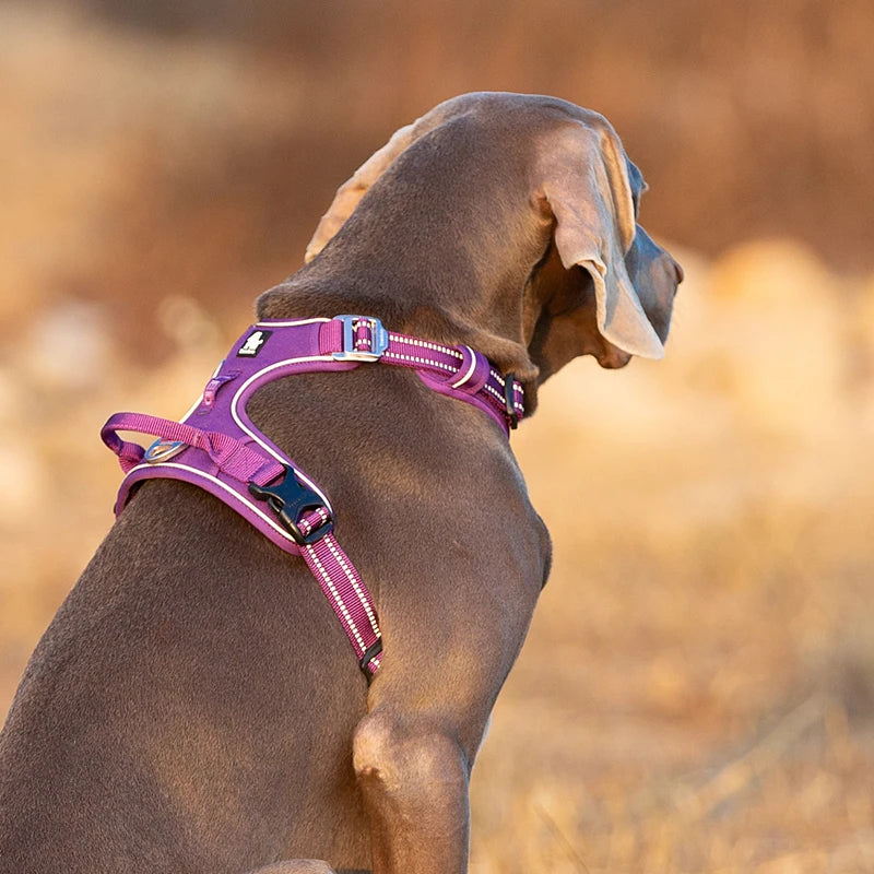 Premium Reflective Dog Vest Harness With Nylon Padding by PawHaven