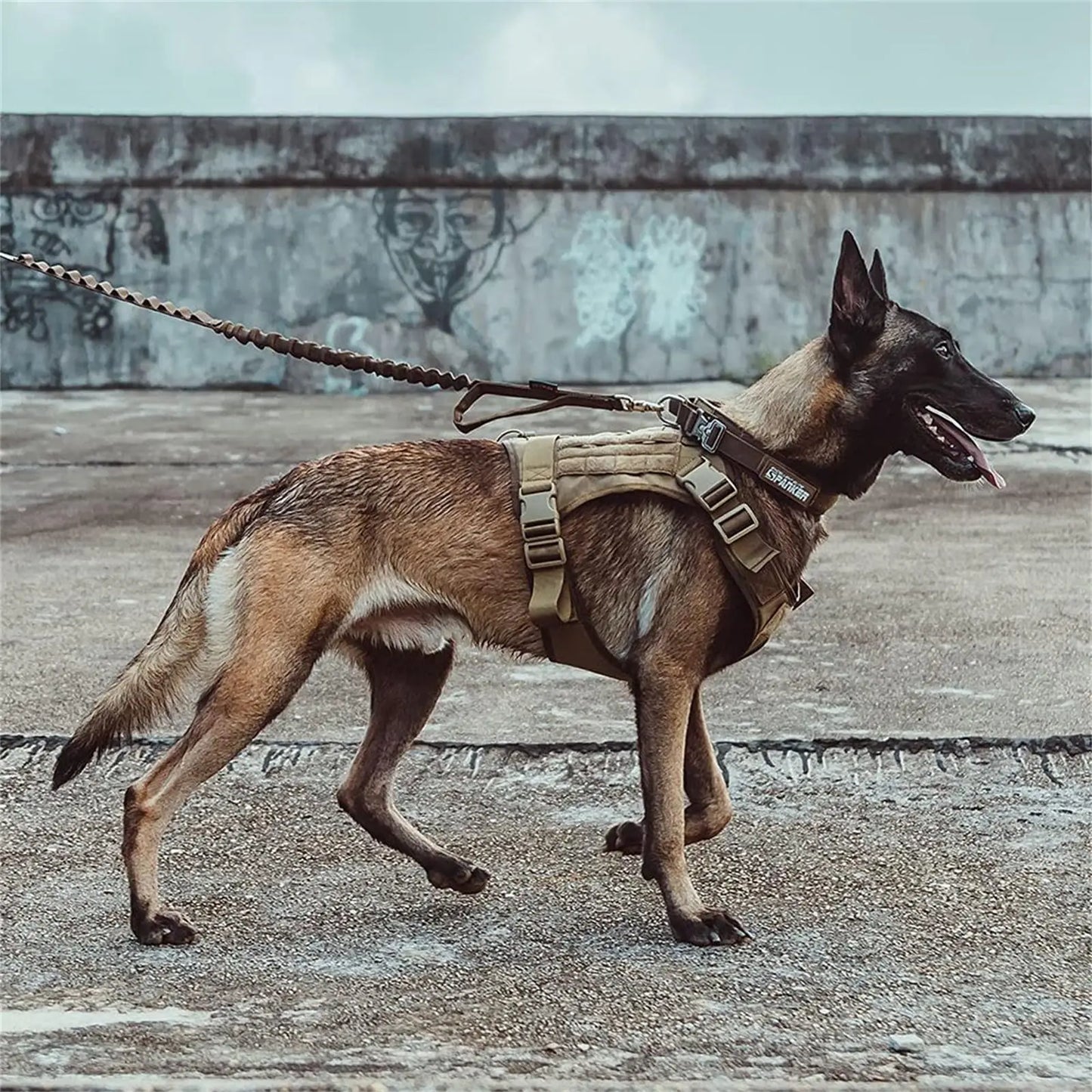 Tactical Dog Harness for Large Pet Harness No-Pull Service Vest Adjustable Military Dog Vest for Training Hunting Walking by PawHaven