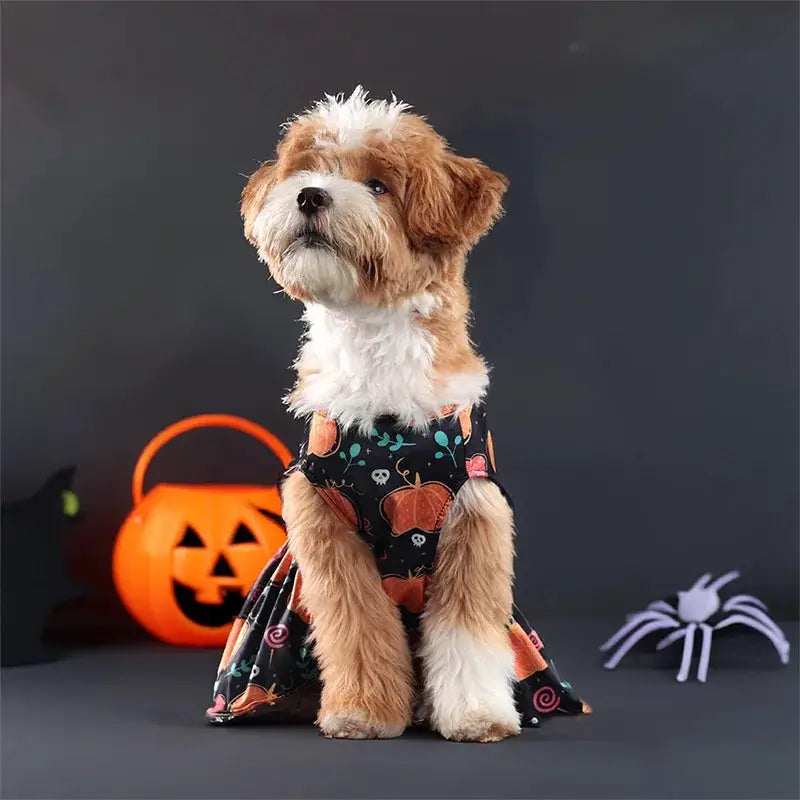 Halloween Pet Dress Pumpkin Costume for Small Medium Dogs Teddy Pomeranian Cross Border Hot Sale by PawHaven