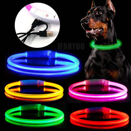 AuroraLux LED Night Collar For Dogs And Cats With 3 Modes by PawHaven