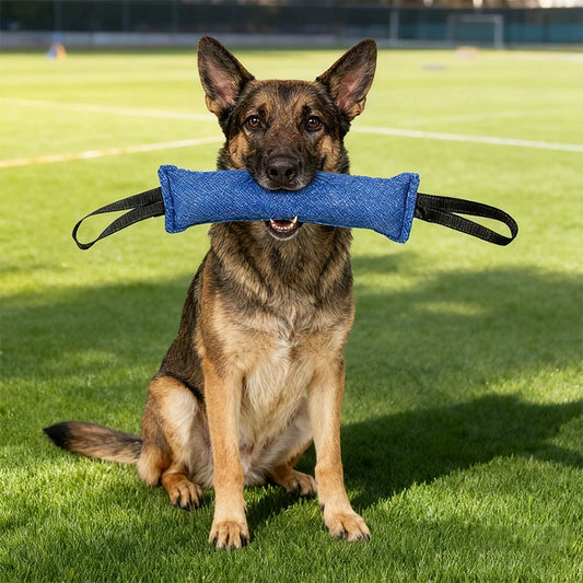 Premium Chemical Free Dog Training Toy by PawHaven
