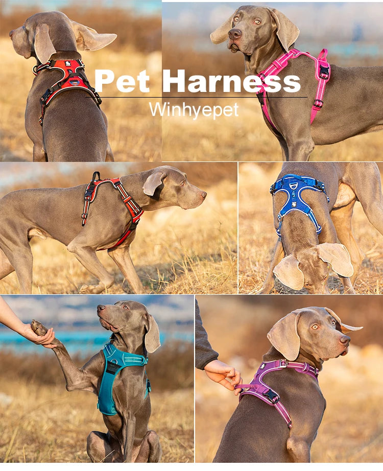 Premium Reflective Dog Vest Harness With Nylon Padding by PawHaven