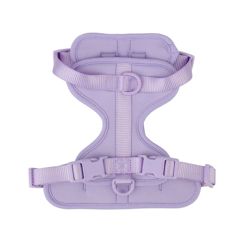 Breathable Lightweight Dog Harness Adjustable Pet Chest Strap Outdoor Walk Training Pet Harenss for Small Medium Dog by PawHaven