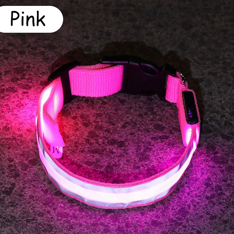Premium Nylon Night Safety Glow Dog Collar by PawHaven