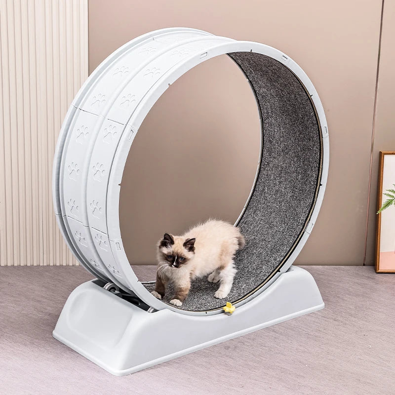 Cat Running Exercise Wheel Treadmill, Ultra-Quiet Safety Cat Training Toy with and Locking Mechanism,Removable Carpeted Runway by PawHaven