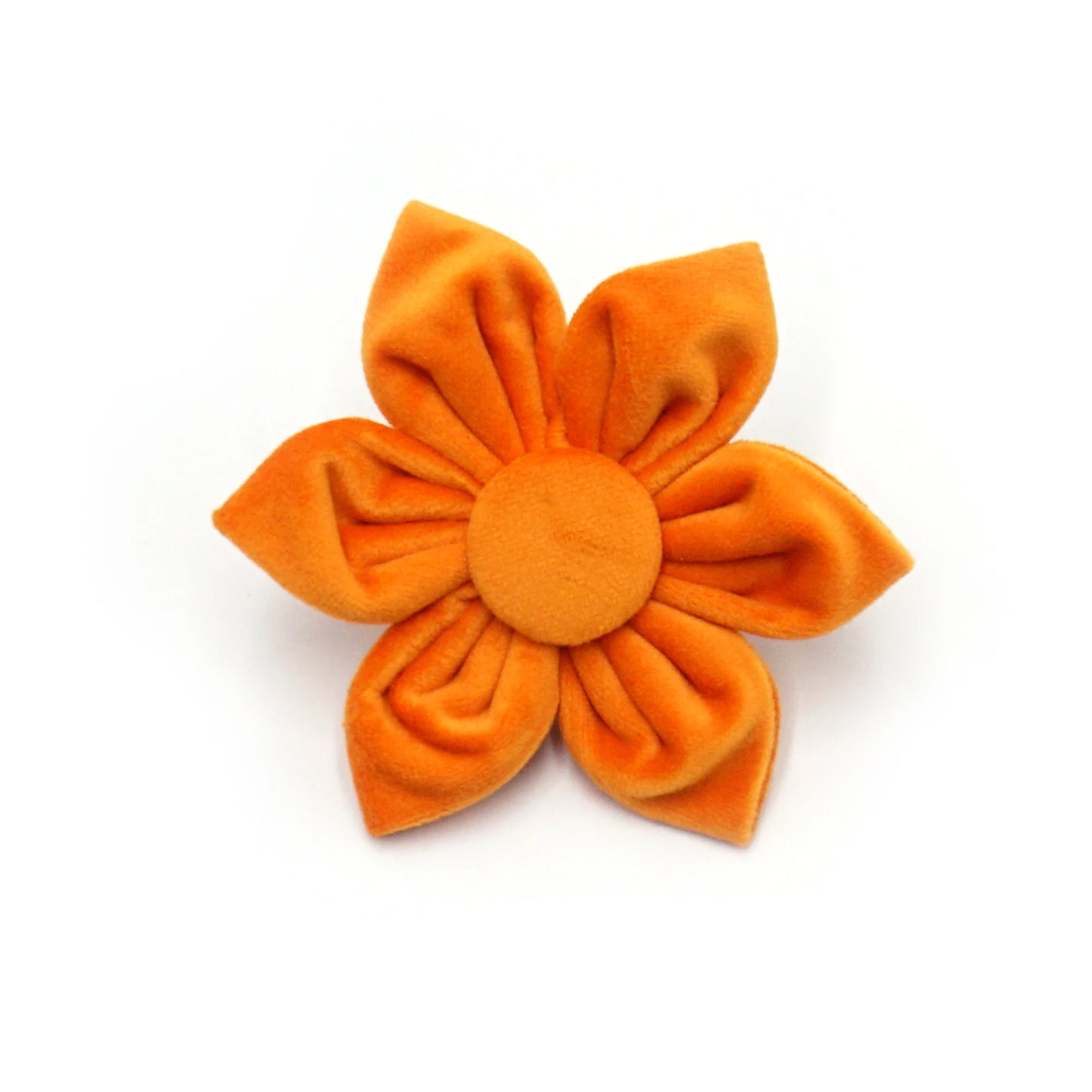 Velvet Personalised Dog Flower Collar And Leash Set by PawHaven