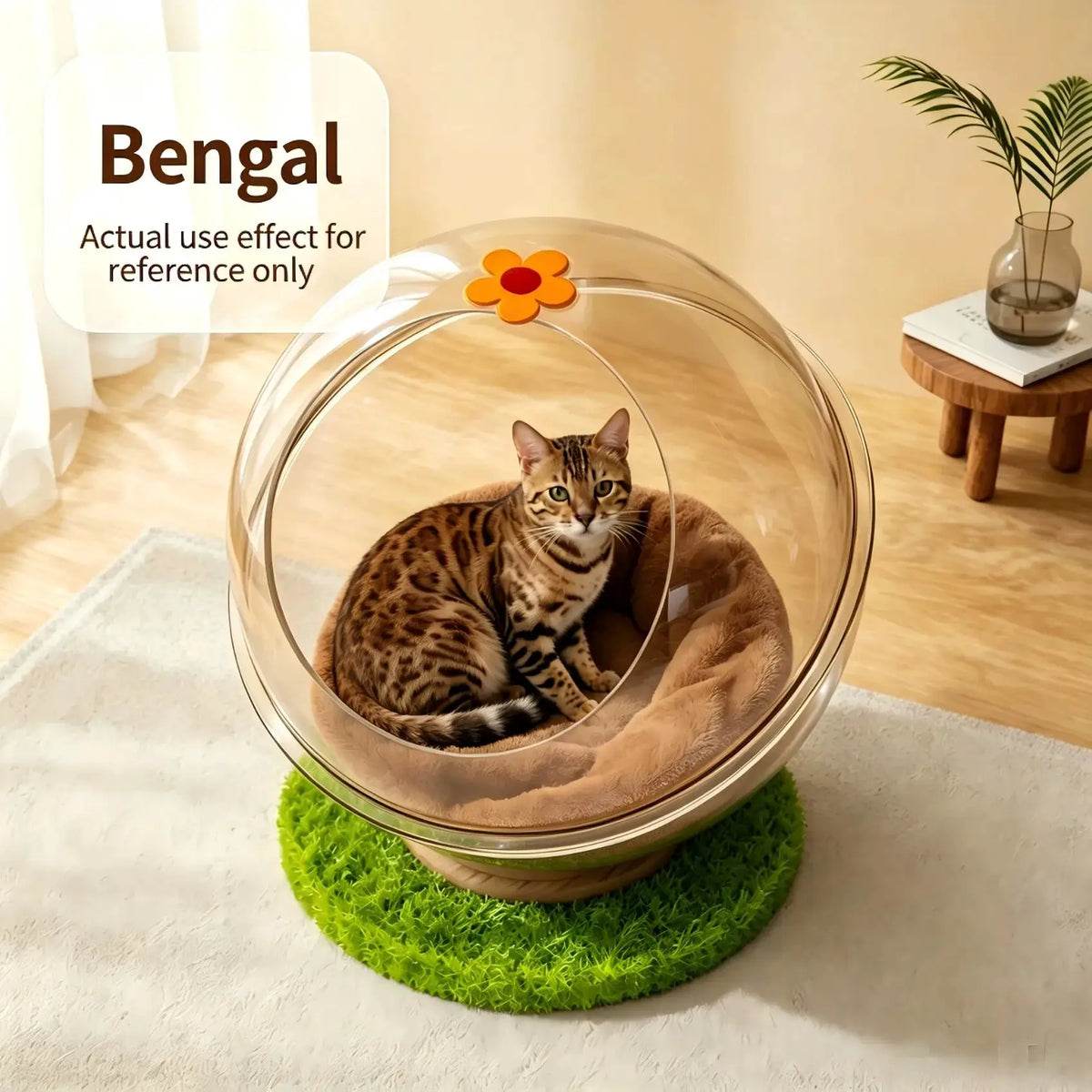 Space Capsule Cat Bed, Easy Clean Washable Hammock House with Climbing Frame, Universal Pet Nest for Kittens Indoor Cats Furniture by PawHaven