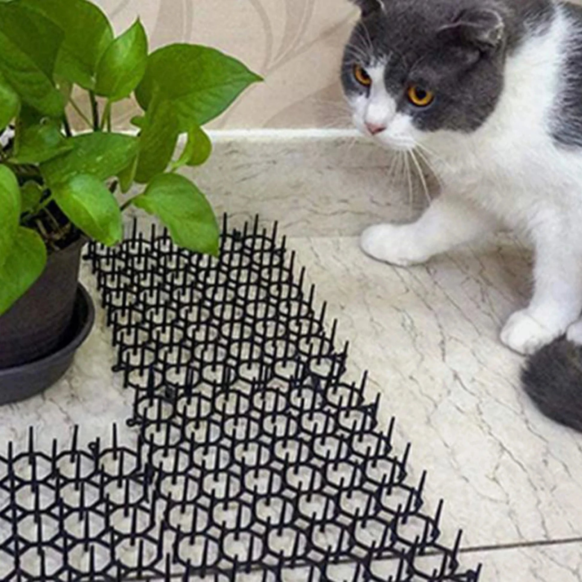 Cat-Proof Mat with Spikes for Vegetable Garden Durable Protection against Cats And Dogs Ideal for Gardening And Plant Care by PawHaven
