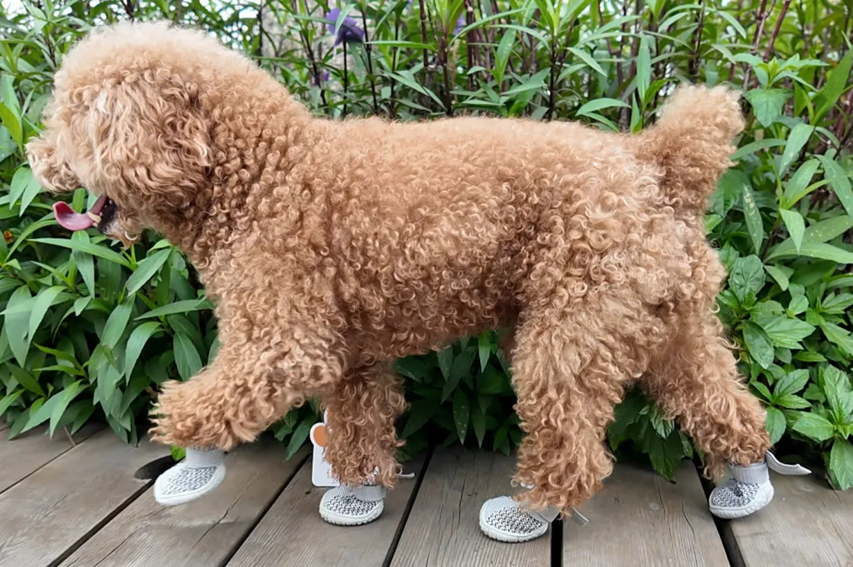 Comfortable Breathable Mesh Dog Shoes, Easy Wear Pet Footwear for Puppies and Small Dogs by PawHaven