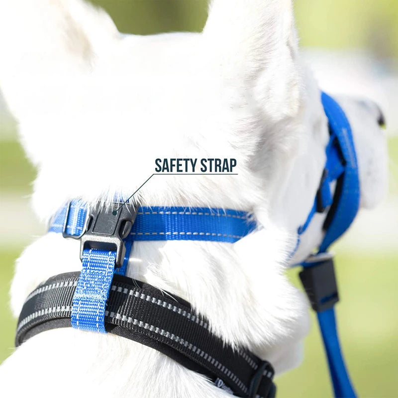 Premium Reflective Breathable Dog Muzzle For Bark Control by PawHaven