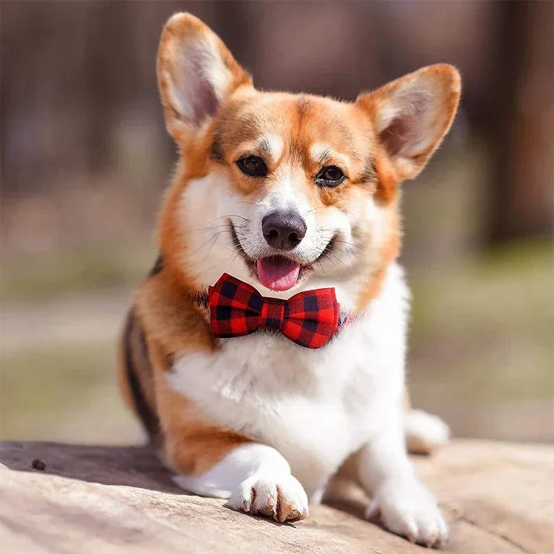 Premium Adjustable Plaid Bow Tie For Dogs And Cats by PawHaven