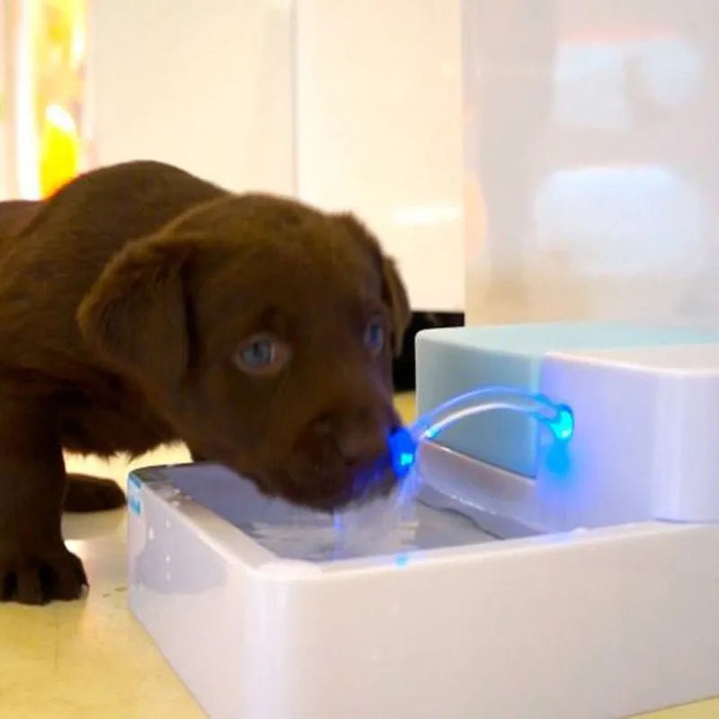 1.8L Premium Automatic Pet Water Fountain For Cats And Dogs by PawHaven