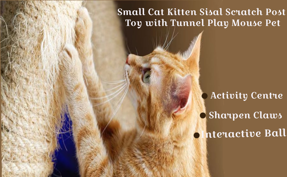 Cat Scratching Post with Tunnel & Mouse Toy Sisal Kitten Tower Activity Centre Hanging Ball Durable Easy Assemble Indoor Cats by PawHaven