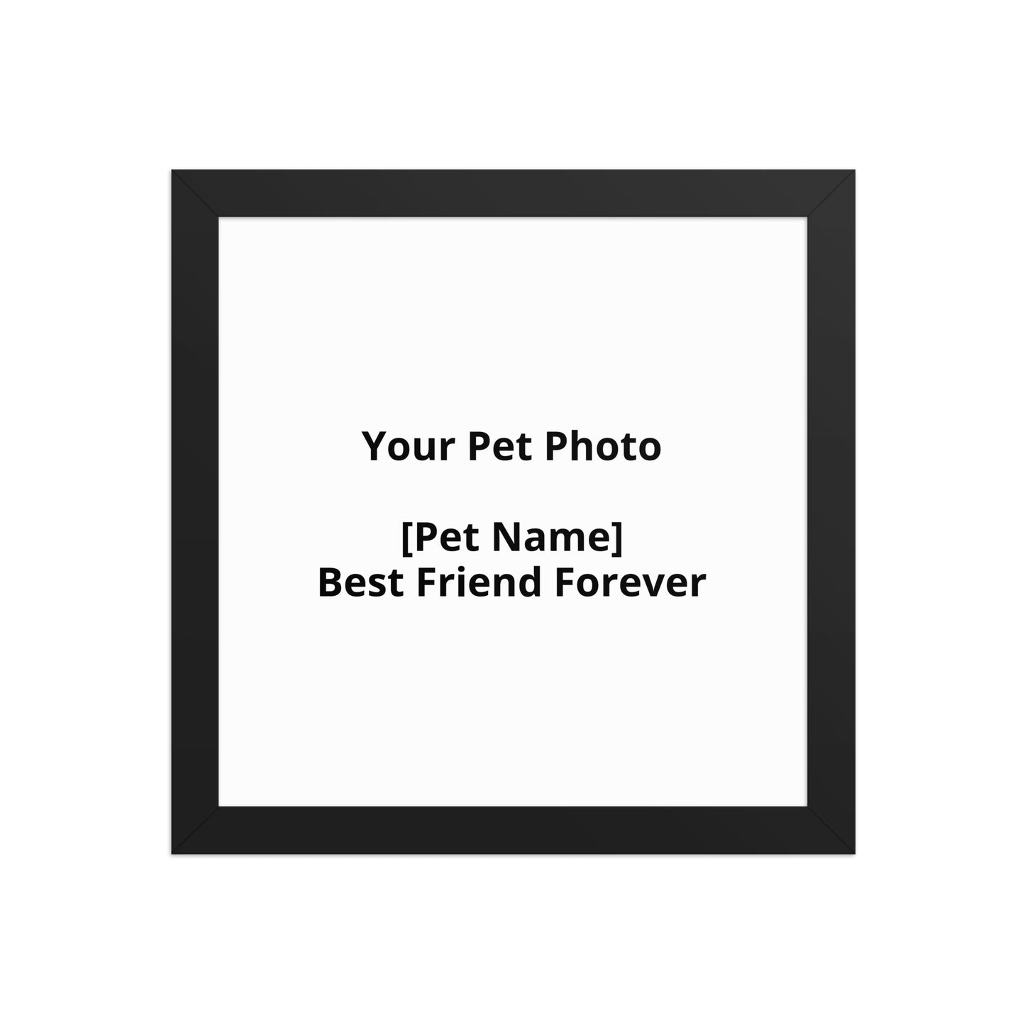 Personalised Pet Portrait From Your Photo For Dogs And Cats by PawHaven