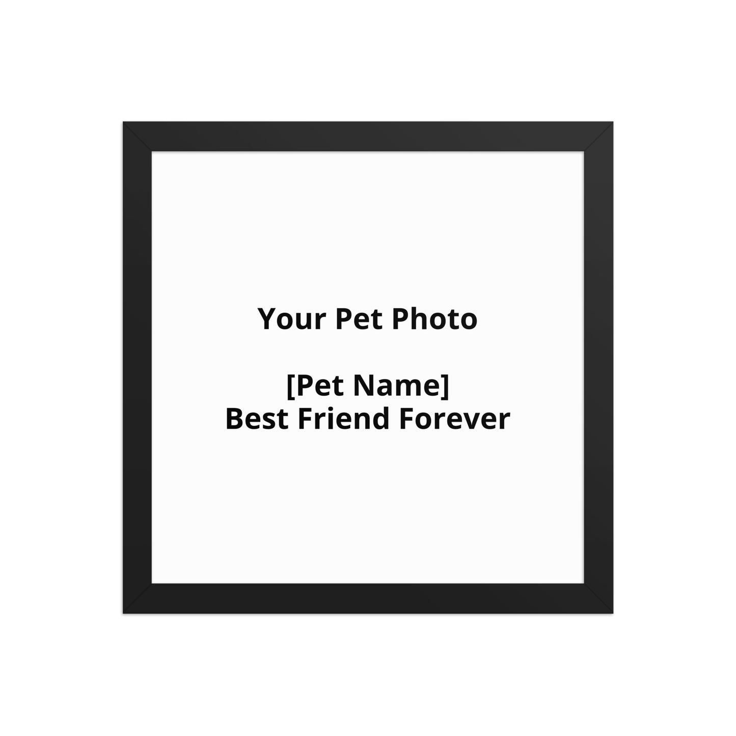 Personalised Pet Portrait From Your Photo For Dogs And Cats by PawHaven