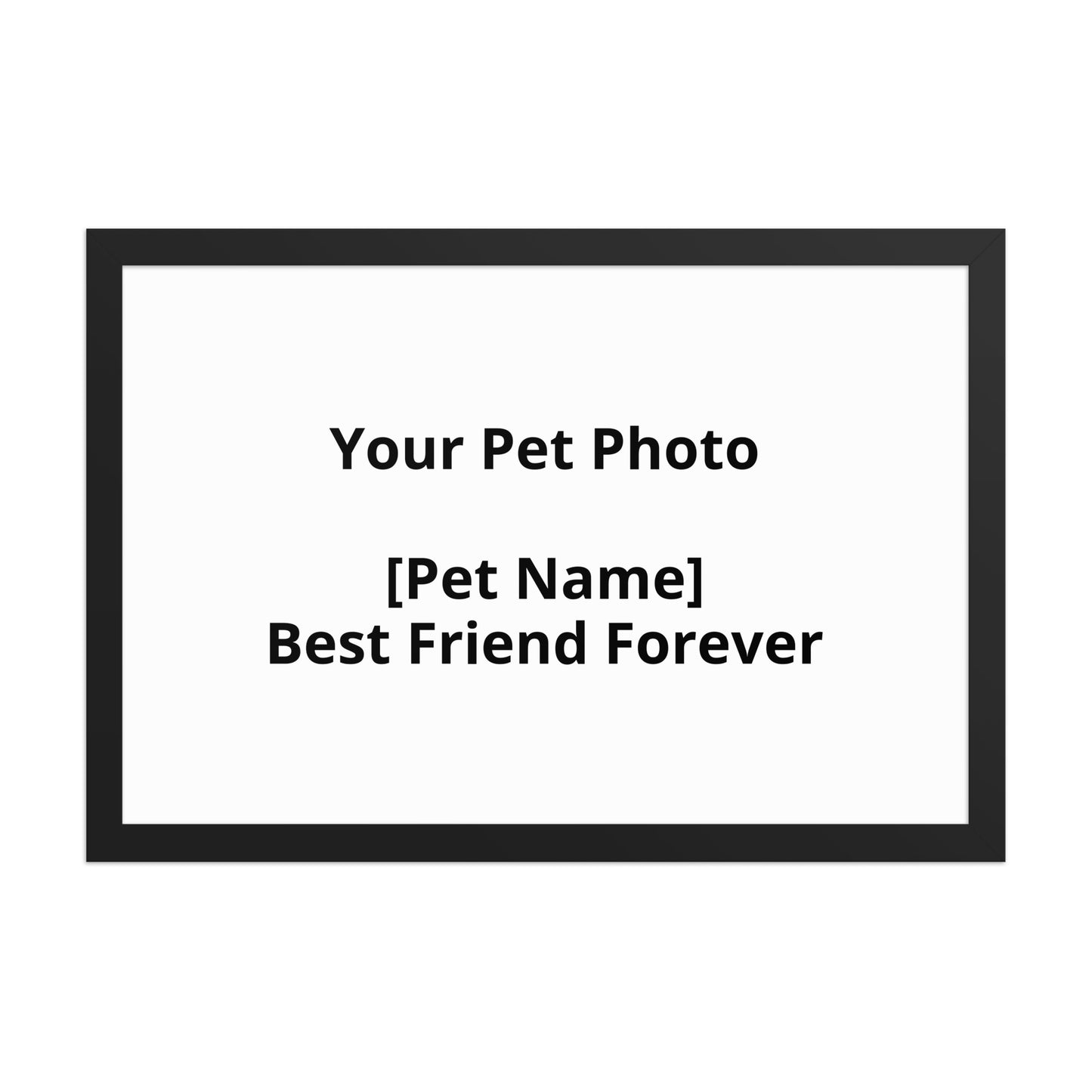 Personalised Pet Portrait From Your Photo For Dogs And Cats by PawHaven
