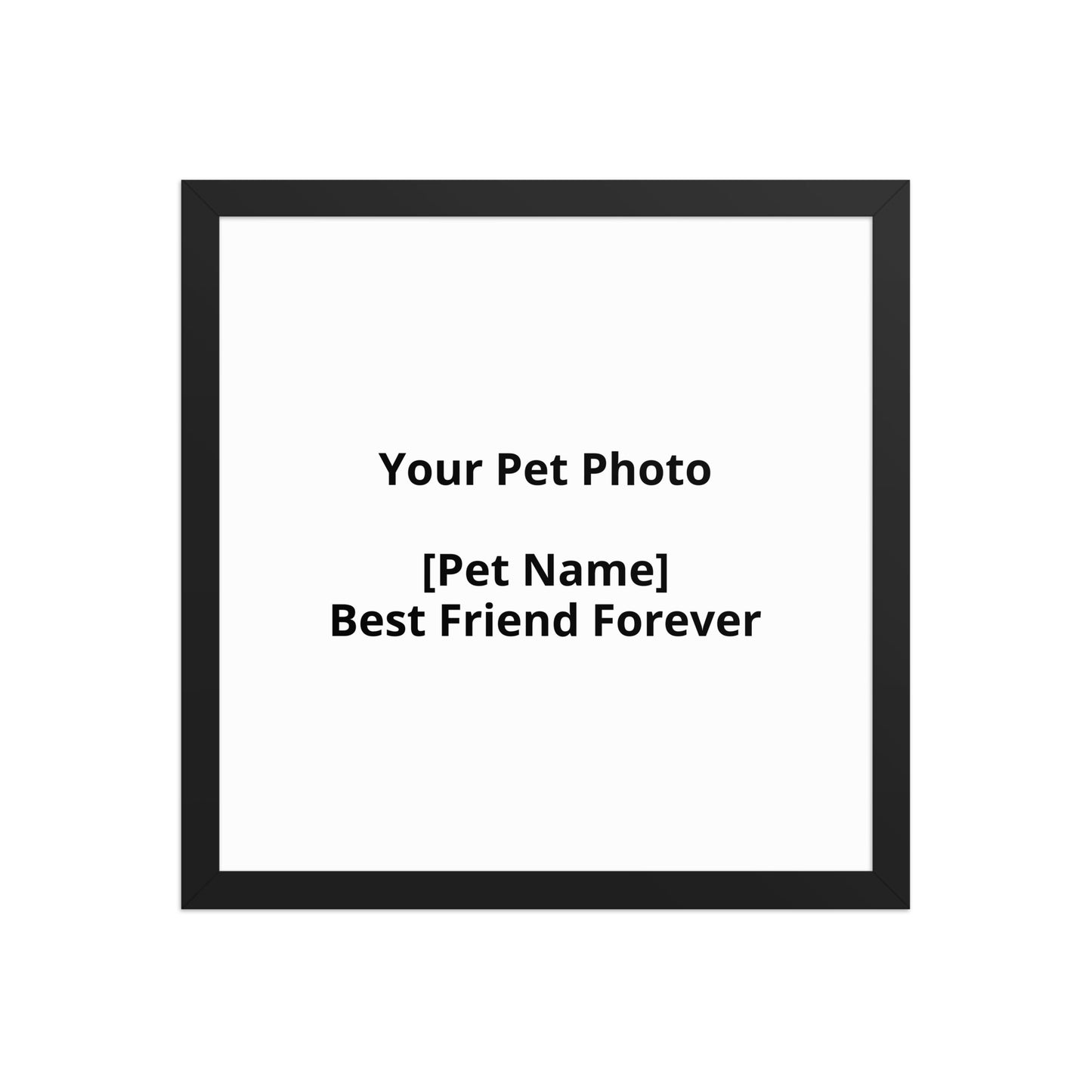 Personalised Pet Portrait From Your Photo For Dogs And Cats by PawHaven