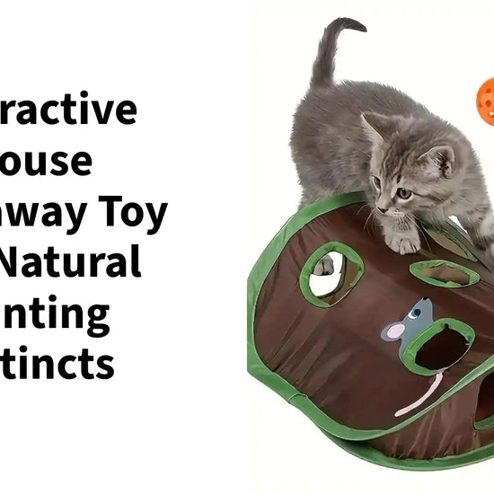 Interactive Mouse Hideaway Toy For Natural Hunting Instincts by@Outfy