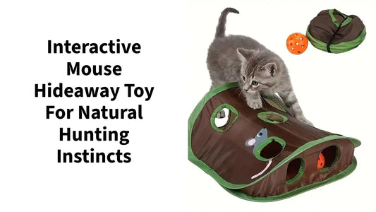Interactive Mouse Hideaway Toy For Natural Hunting Instincts by@Outfy