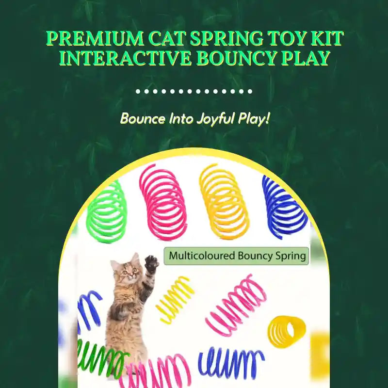 Premium Cat Spring Toy Kit Interactive Bouncy Play by@Outfy