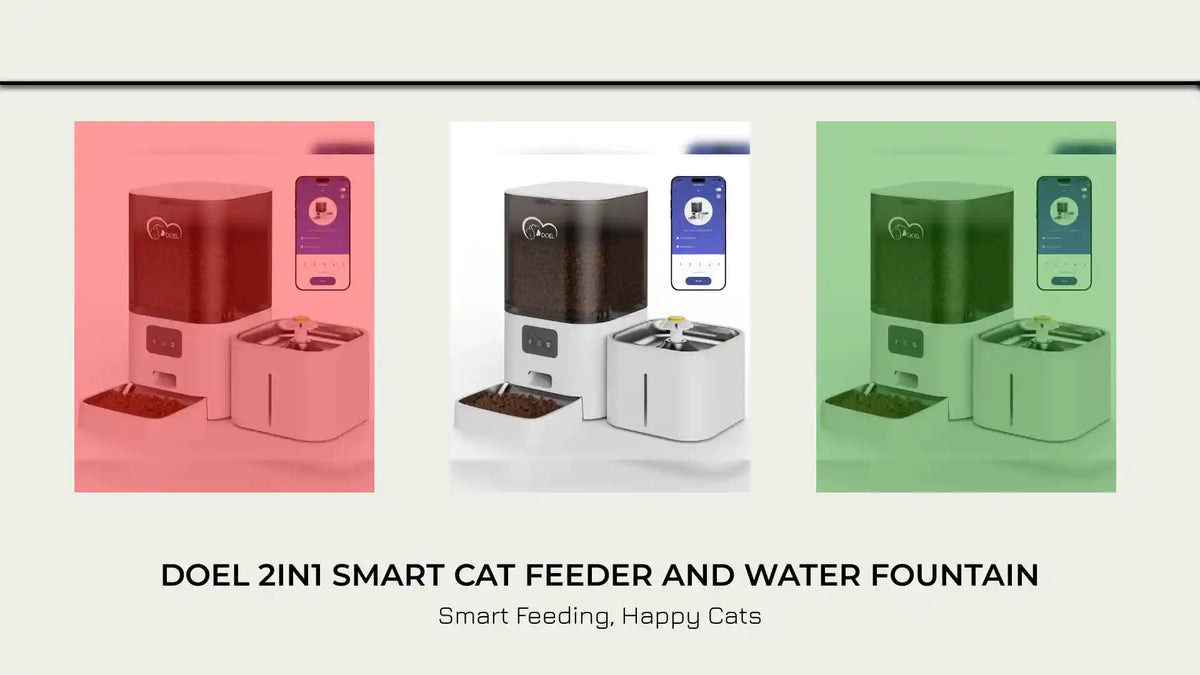 DOEL 2in1 Smart Cat Feeder and Water Fountain by@Outfy