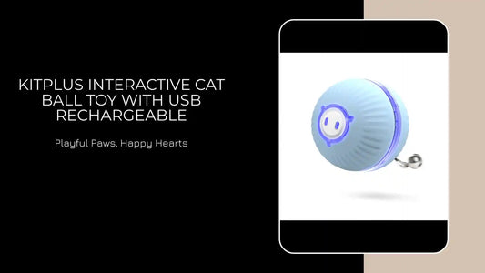 KitPlus Interactive Cat Ball Toy With USB Rechargeable by@Outfy