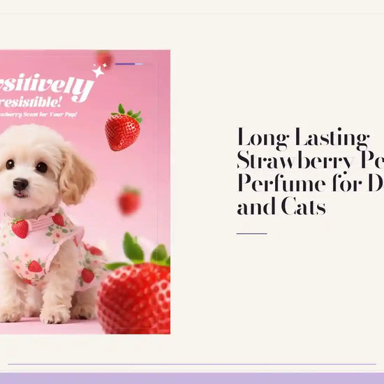 Long Lasting Strawberry Pet Perfume for Dogs and Cats by@Outfy